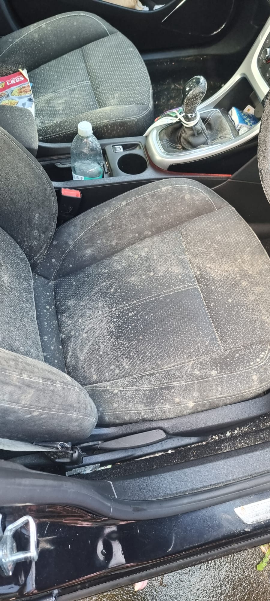 Guide to Mould Removal Dirty