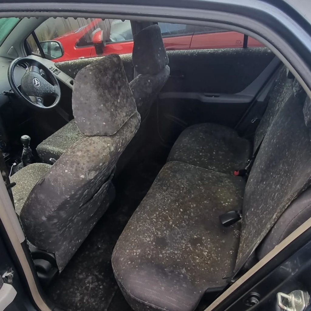 Car Mould Removal Manchester Car Mould Removal Manchester