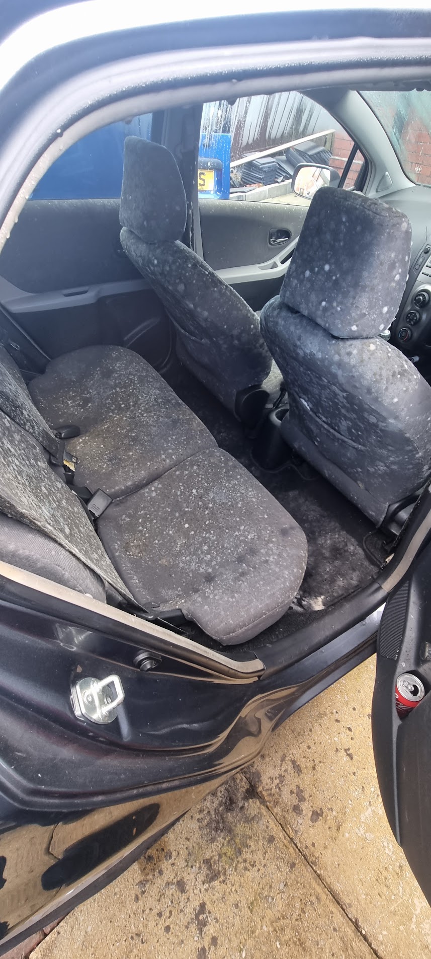 How to Effectively Remove Car Mould: Complete Guide to Car Mould Removal and Prevention 1 How to Effectively Remove Car Mould: Complete Guide to Car Mould Removal and Prevention