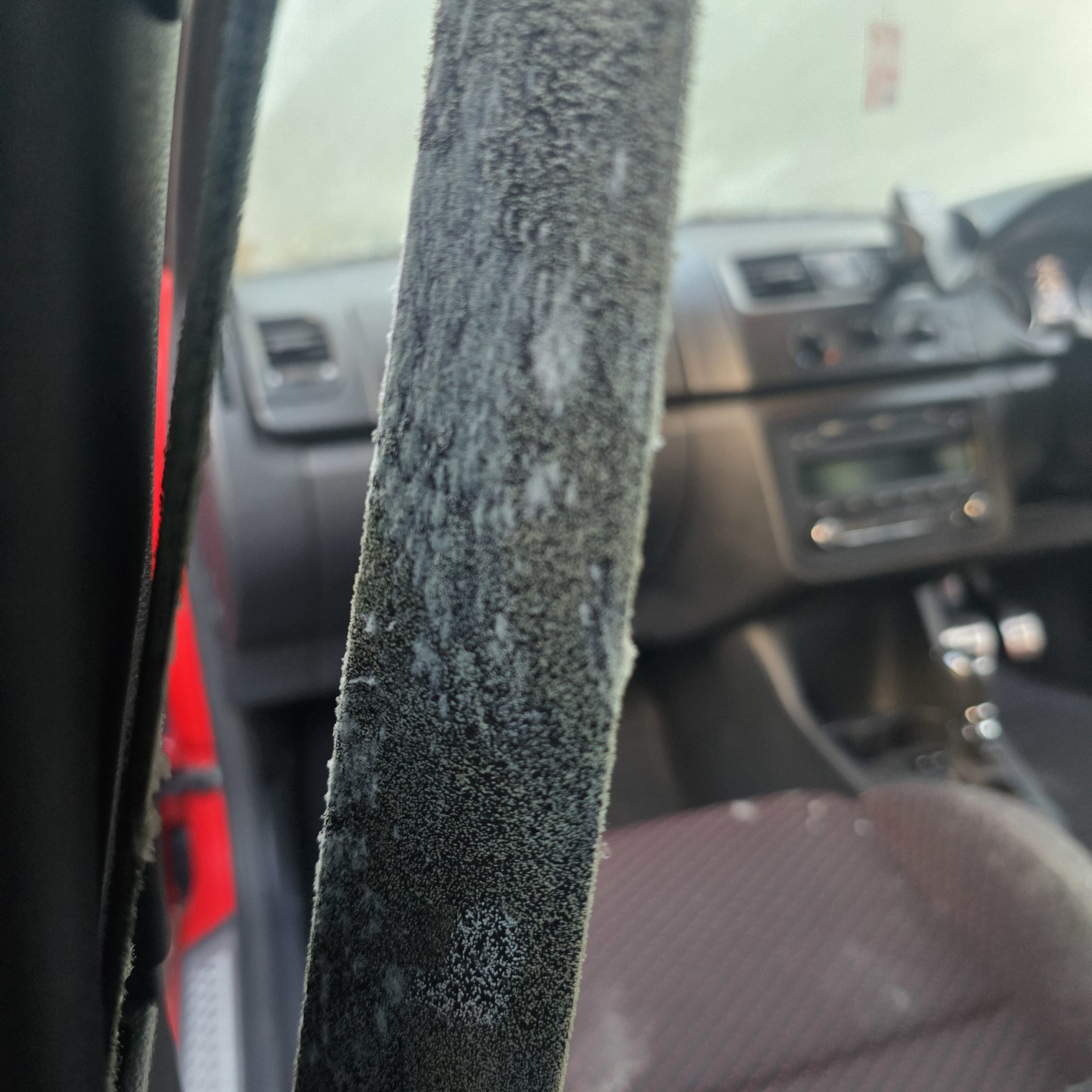 mould removal in car